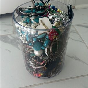Assorted Jewelry Collection in Clear Container